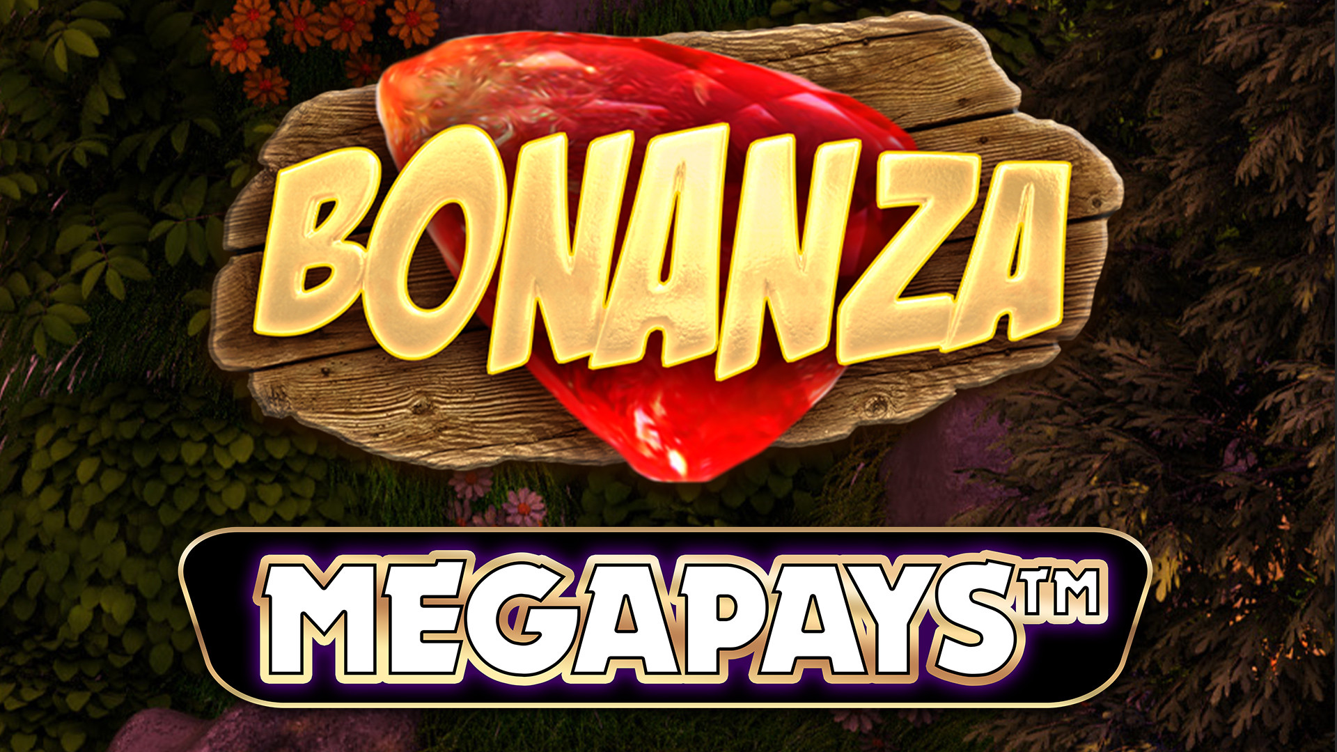 Bonanza MEGAPAYS