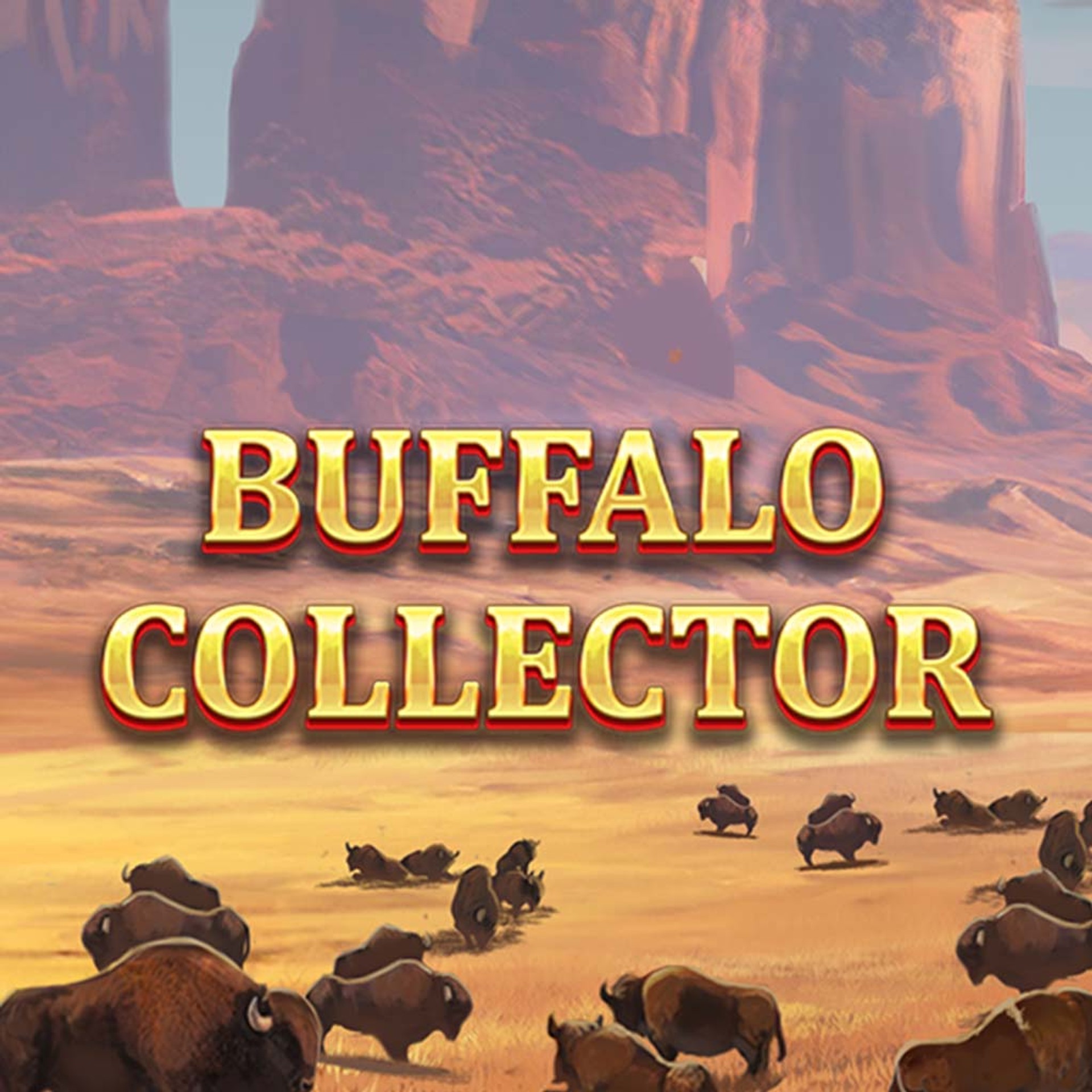 Buffalo Collector