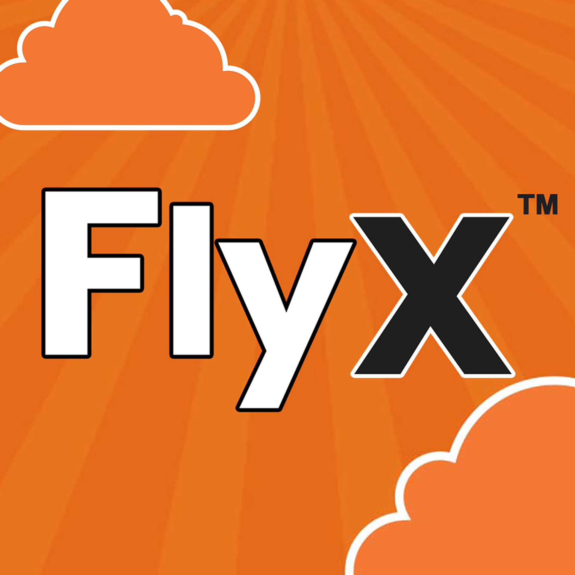 FlyX