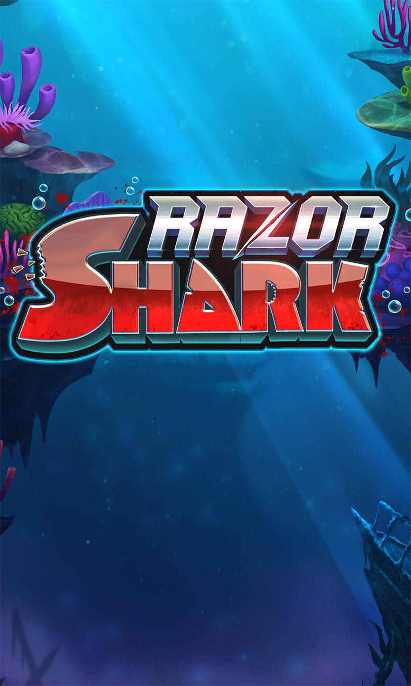 Problem z rejestracją Sharkcasino: co zrobić?