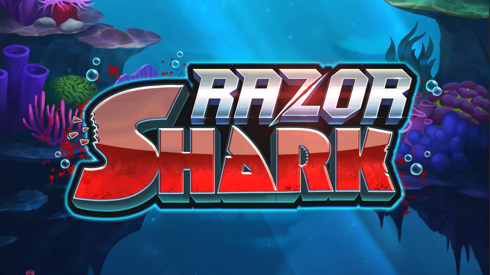 Polecane automaty w Shark Casino dla początkujących