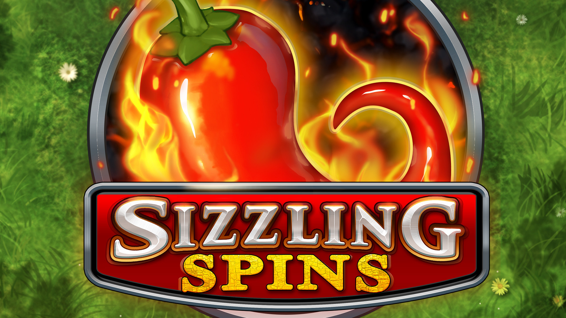 Sizzling Spins