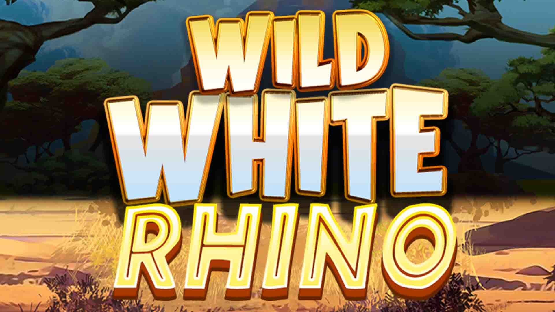 Wild White Rhino